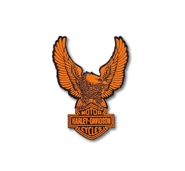 Picture of Eagle Iron-On Patch