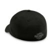 Picture of Men's Embroidered Graphic 39THIRTY Cap